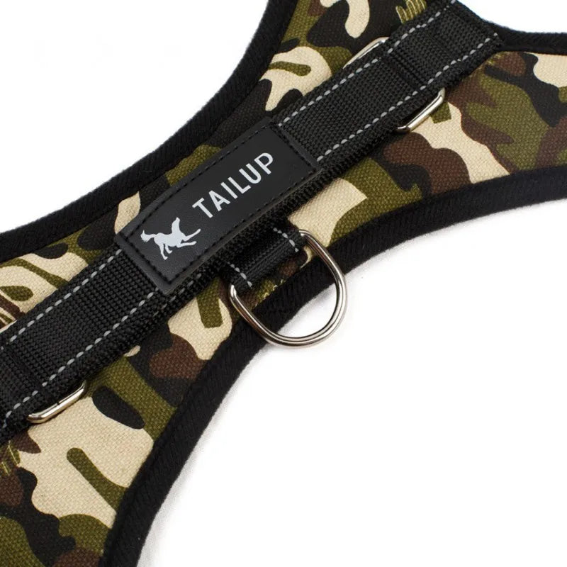 Versatile Pet Harness for All Sizes