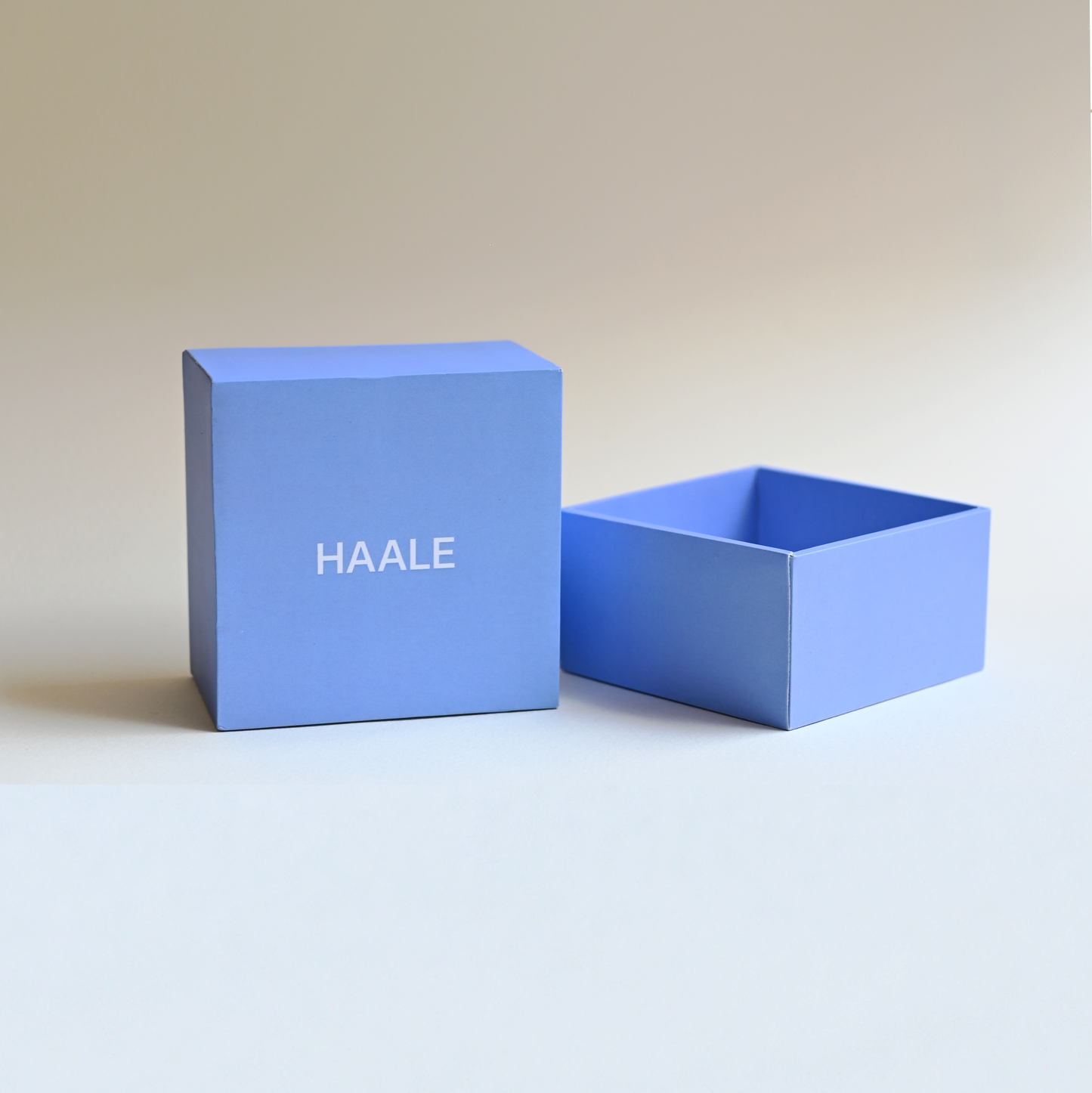 HAALE Smart Ring - Silver